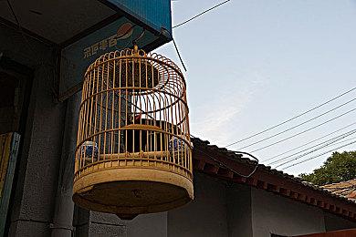 《药水工艺：炼金术师模拟器》9月21日上线 暂不支持中文